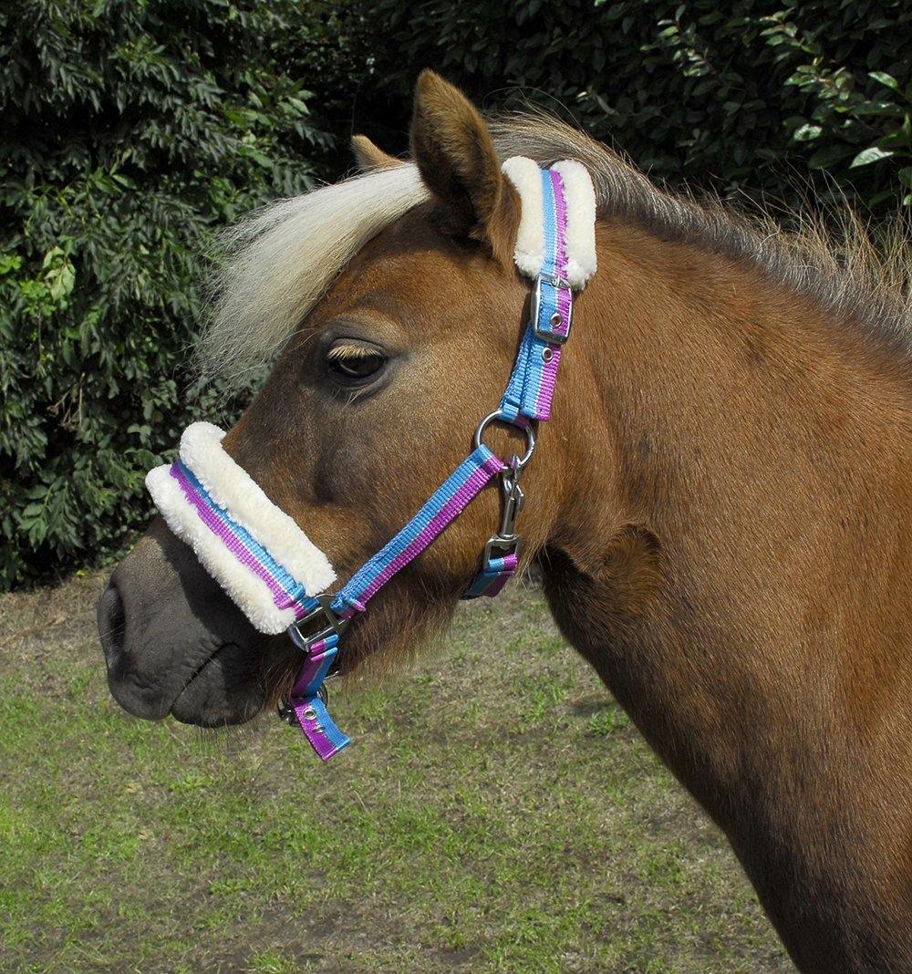 Rhinegold Licol Bright - SHOPHORSE