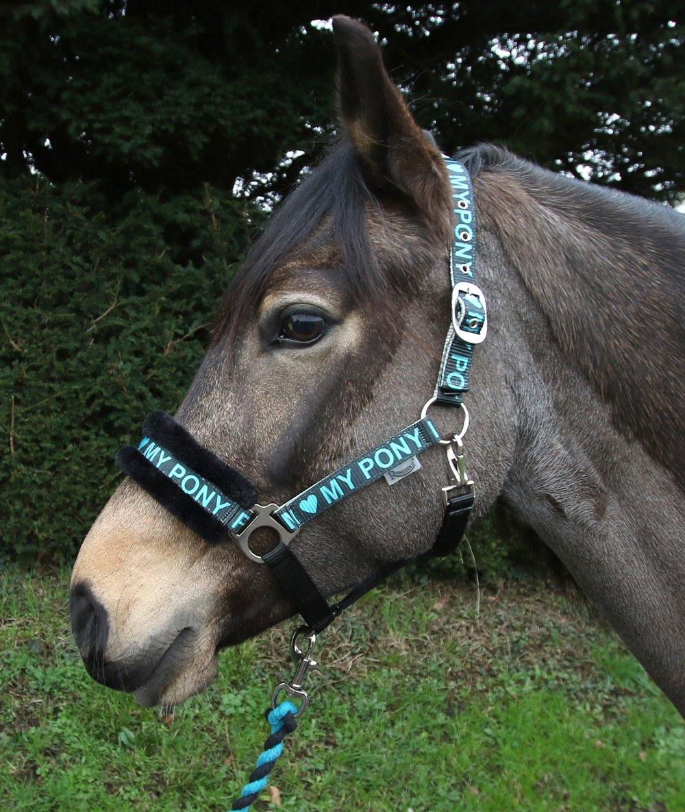 Rhinegold Licol et Longe Love My Pony - SHOPHORSE