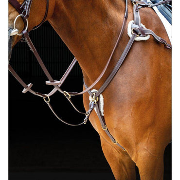 Salisbury Collier de Chasse 5 point - SHOPHORSE