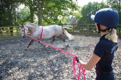 Shires Surfaix double Mouton Synthetique - SHOP HORSE
