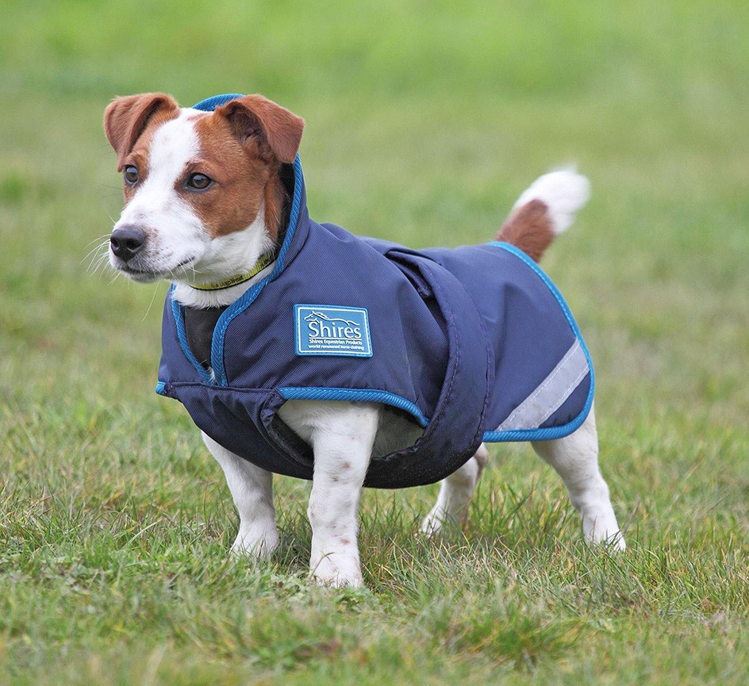Stormbreaker Couverture Chien - SHOPHORSE