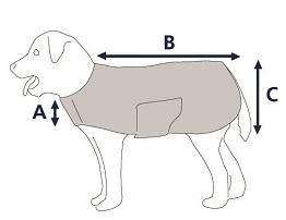 Stormbreaker Couverture Chien - SHOPHORSE