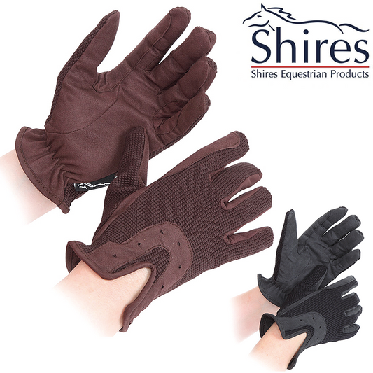 Shires Gants Everyday - SHOPHORSE