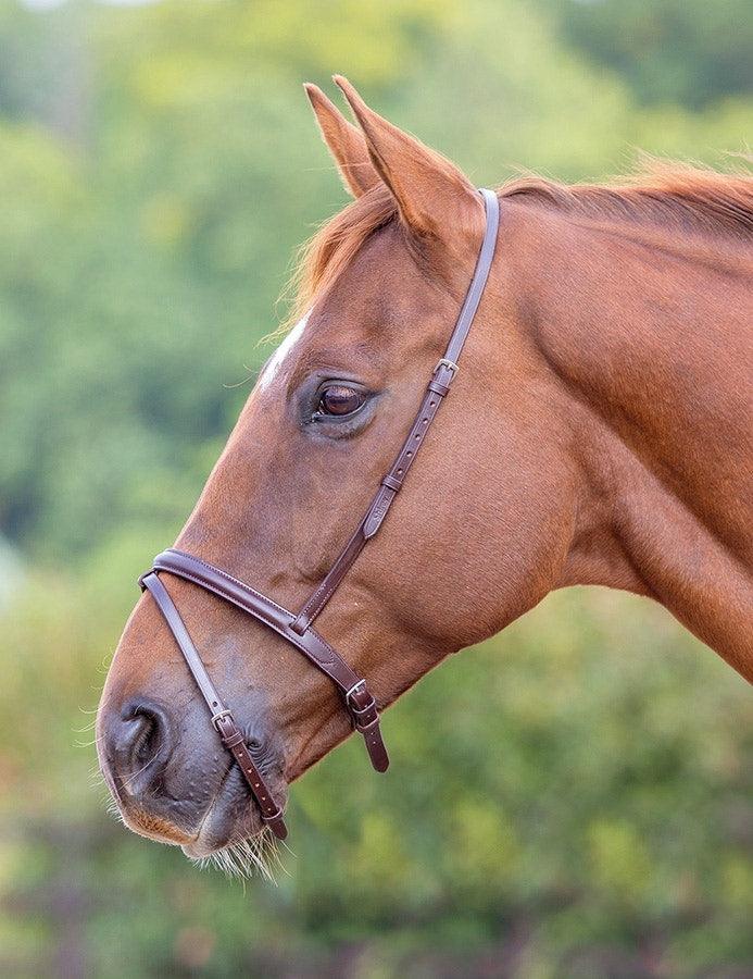 Blenheim Muserolle Combinée - SHOPHORSE