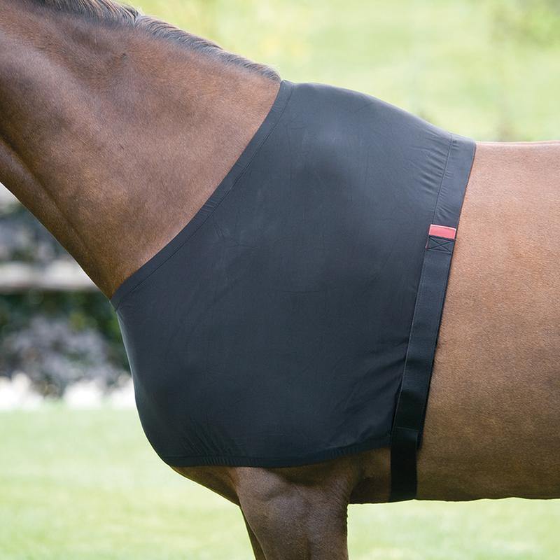 Shires Protege Epaule - SHOPHORSE