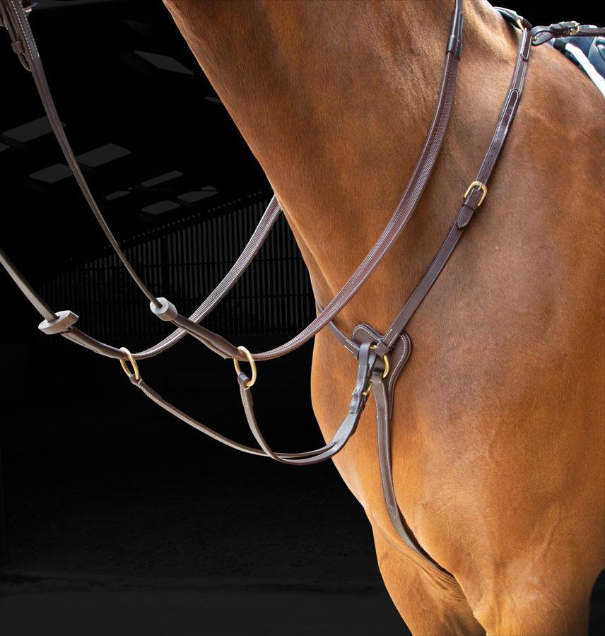 Salisbury Collier de Chasse 3 point - SHOPHORSE