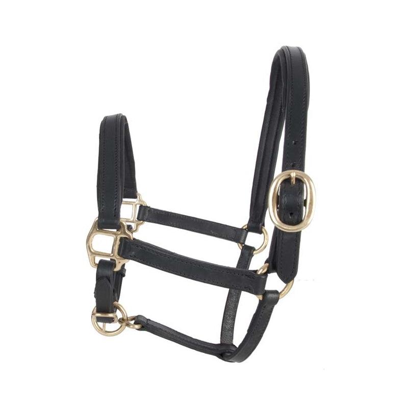 TdeT Licol Cuir Mini et Poulain - SHOP HORSE