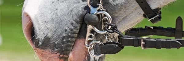 TdeT Alliance de Mors en Cuir et Corde - SHOPHORSE