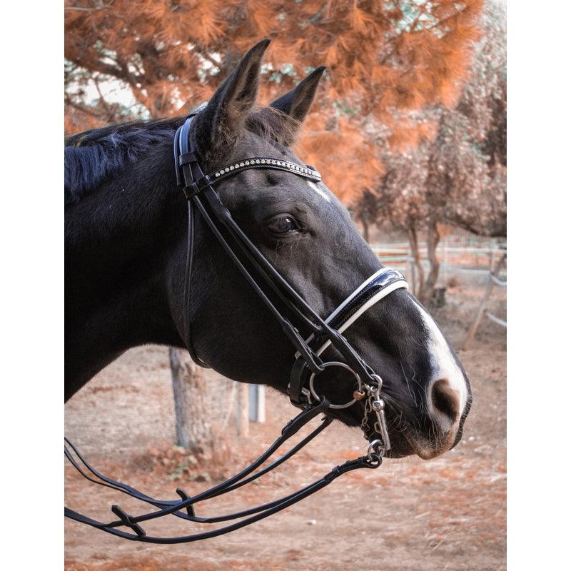 TdeT Bride Ribera - SHOPHORSE