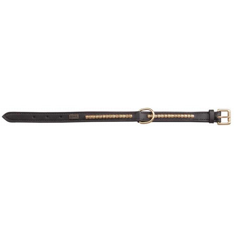 Tdet Collier Chien Clincher - SHOPHORSE