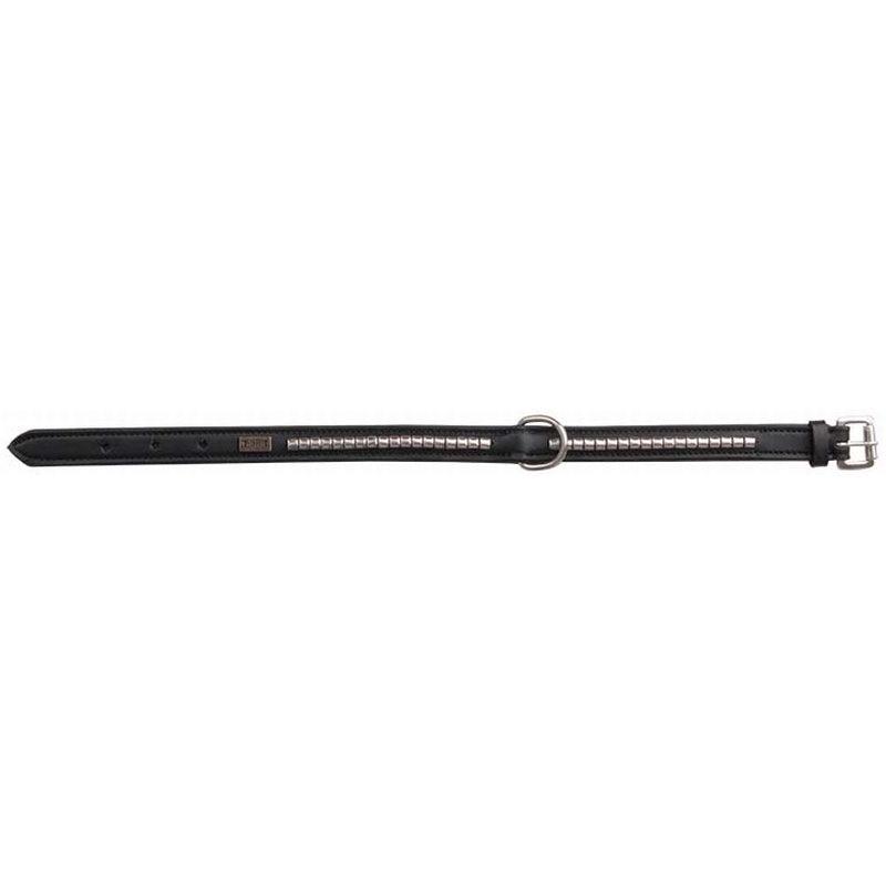 Tdet Collier Chien Clincher - SHOPHORSE