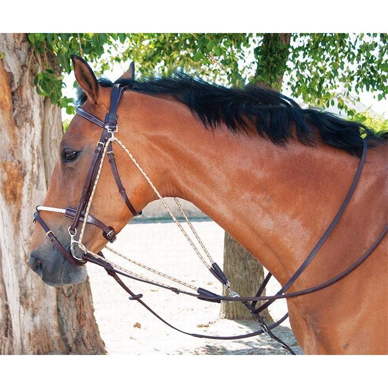 TdeT Gogue - SHOPHORSE