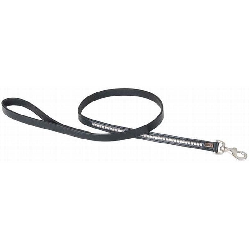 TdeT Laisse pour Chien Clincher - SHOPHORSE