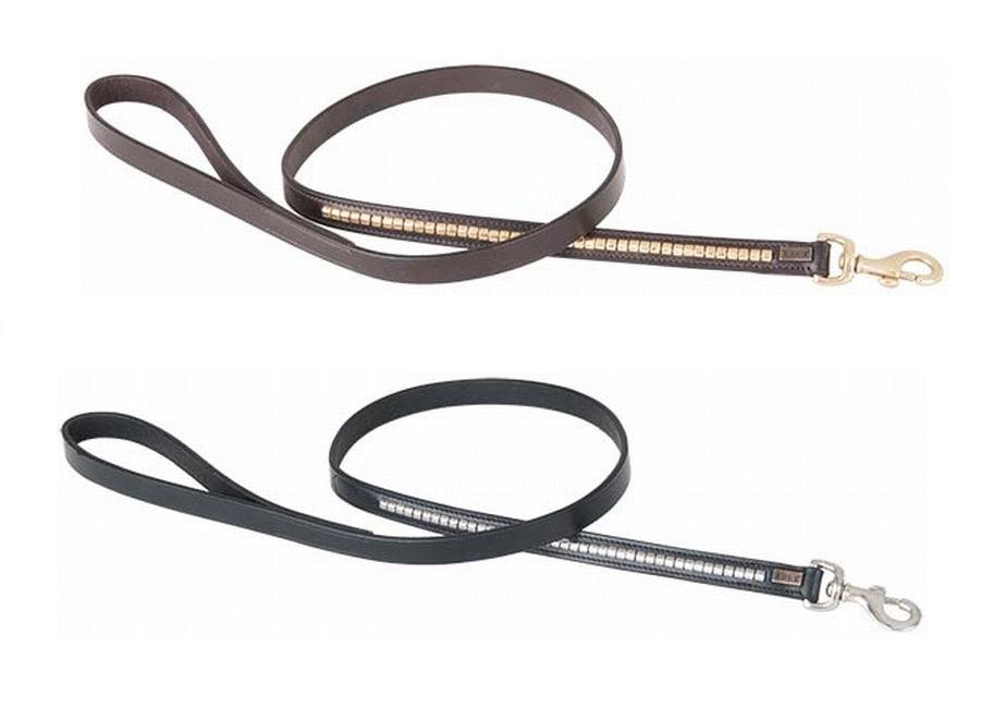 TdeT Laisse pour Chien Clincher - SHOPHORSE