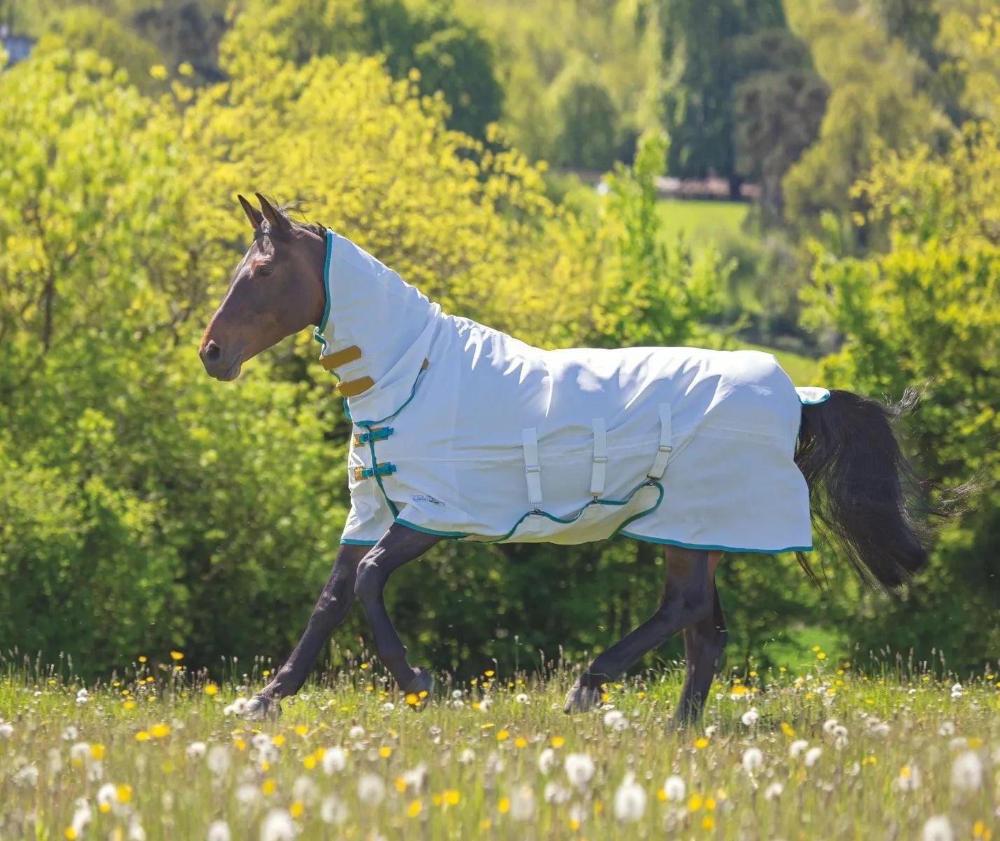 Tempest Couverture Anti Dermite Sweet-Itch - SHOPHORSE