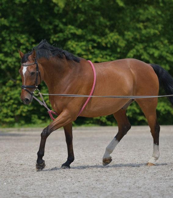 Waldhausen Enrenement a Longer - SHOPHORSE