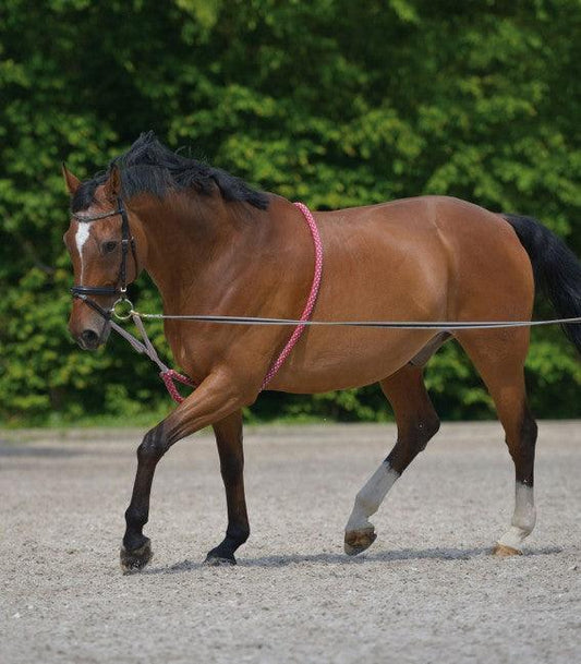 Waldhausen Enrenement a Longer - SHOPHORSE