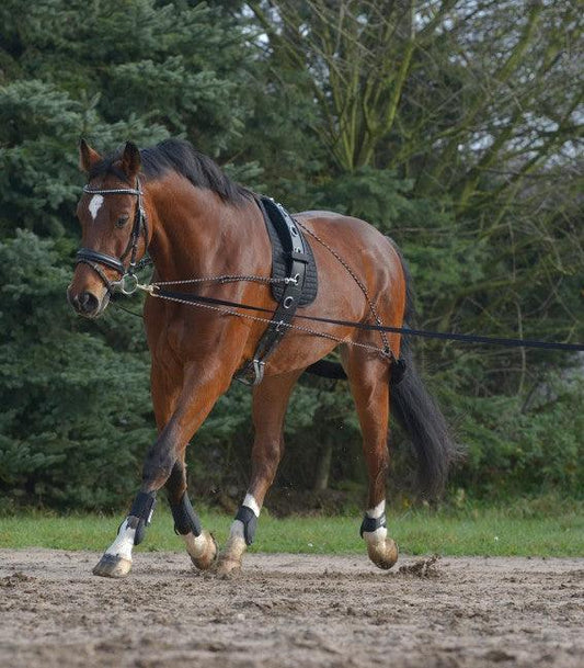 Waldhausen Enrenement de Longe - SHOPHORSE