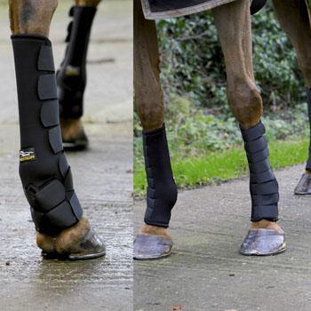 Westropp Guetres de Paddock - SHOP HORSE