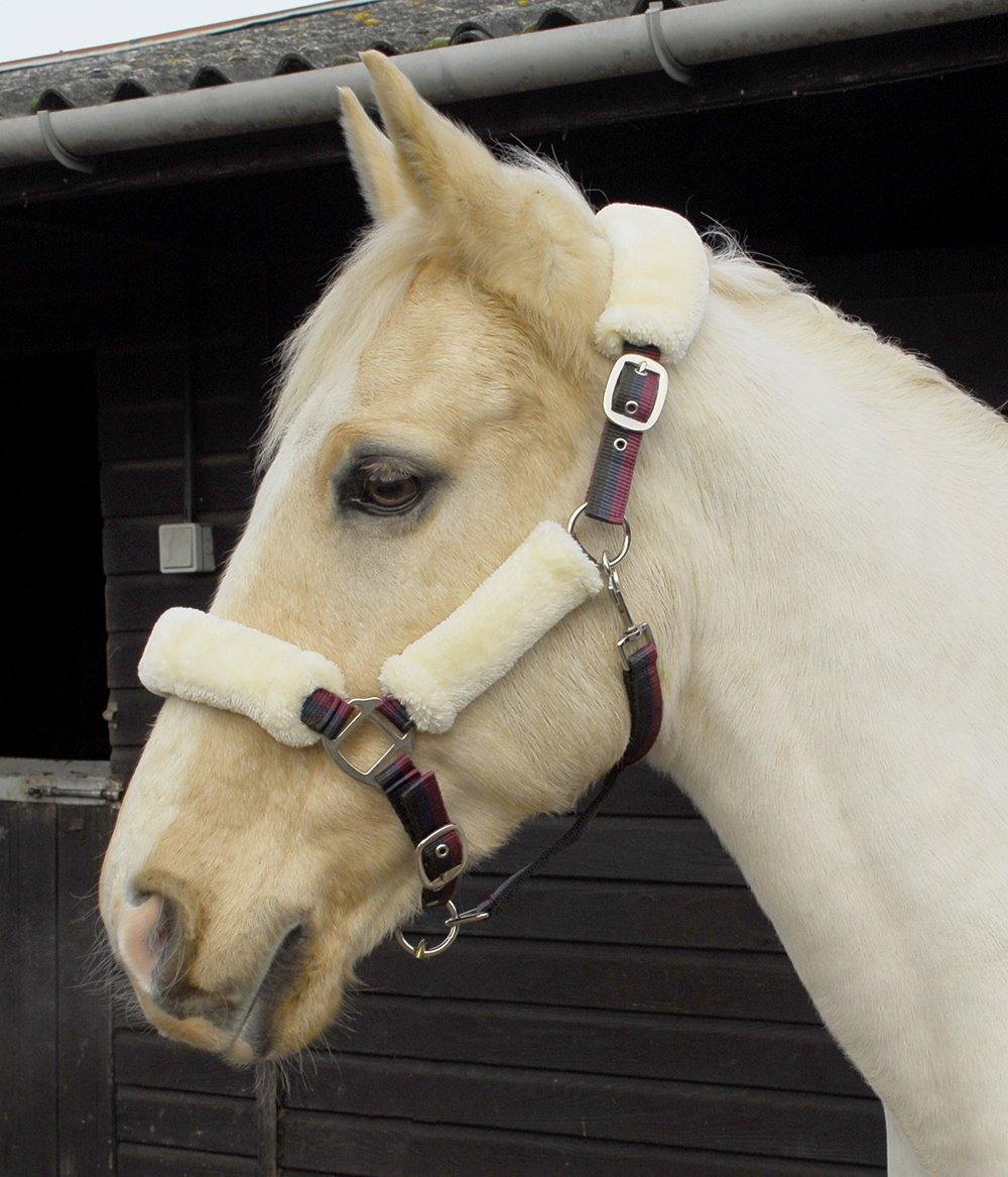 Windsor Licol Rayées avec Mouton Synthetque - SHOPHORSE