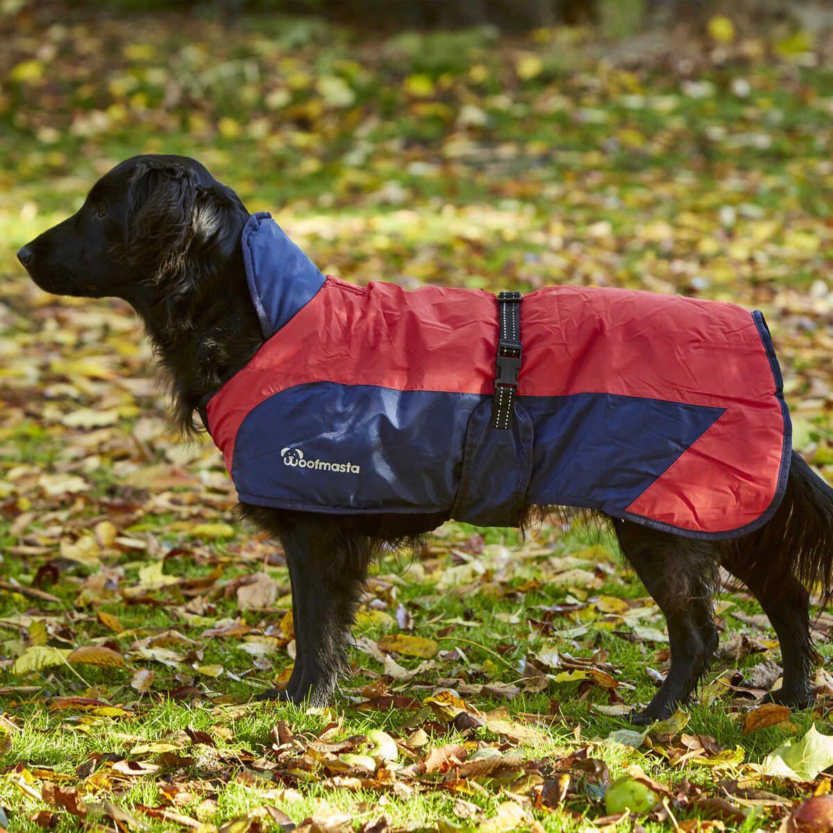 Woofmasta Secret Flash Couverture Chien - SHOPHORSE