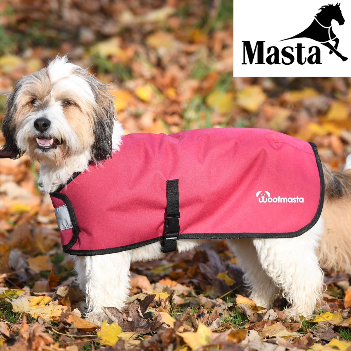 Woofmasta  Couverture Chien - 20cm - SHOPHORSE